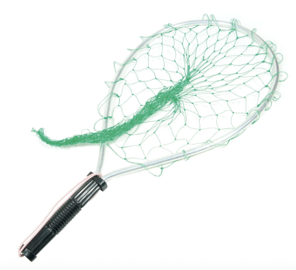 Eagle Claw Trout Net
